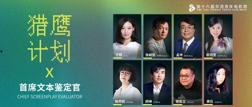 中文av福利片在线观看,揭秘av福利片在线观看背后的真相