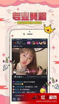 免费高清福利在线视频观看